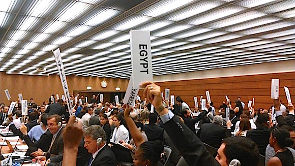UN adopts OEWG nuclear resolution