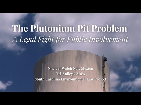 The Plutonium Pit Problem