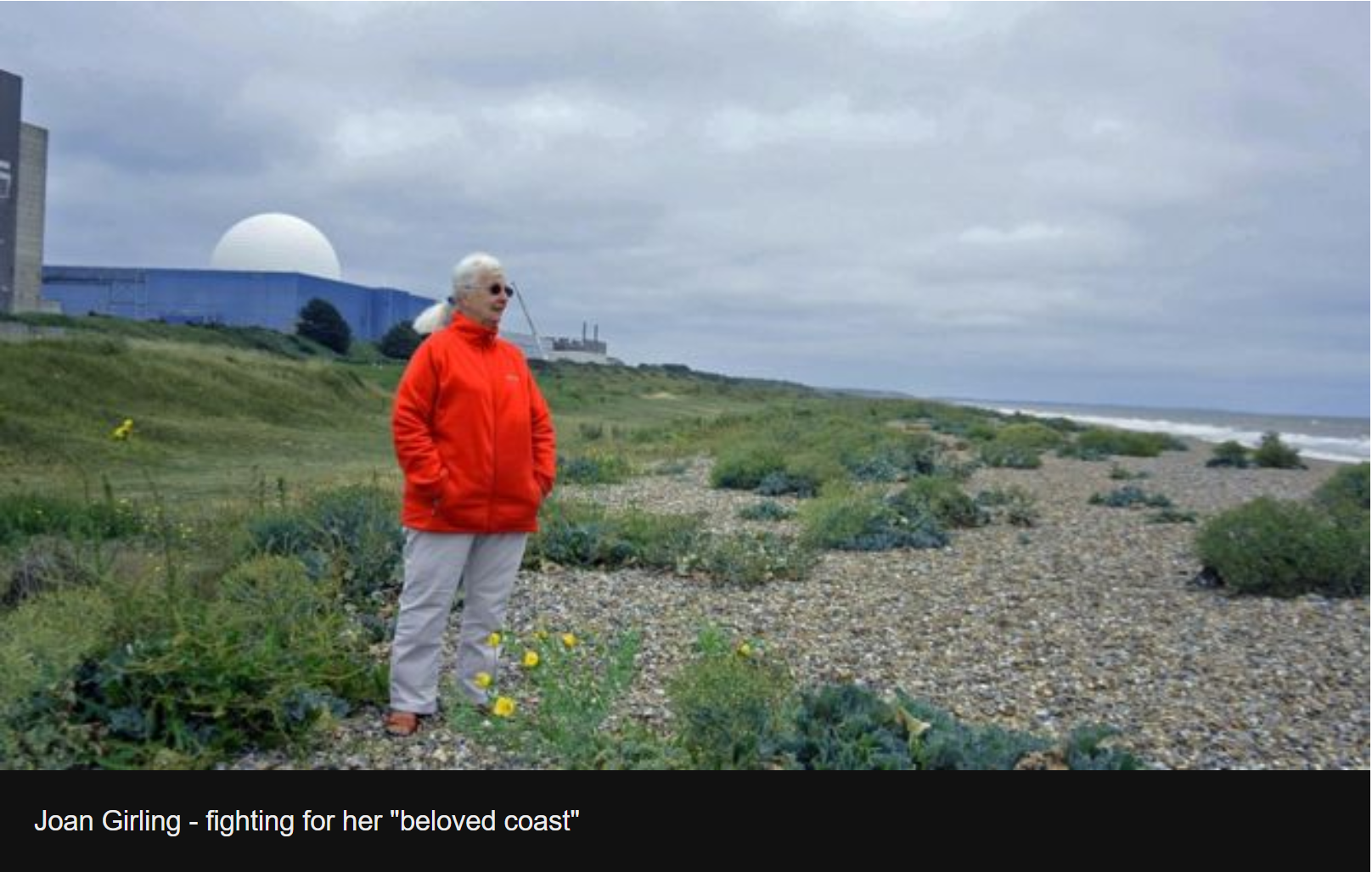 — Joan Girling, member of Together Against Sizewell C (TASC), an environmental group protesting against the French energy company EDF.